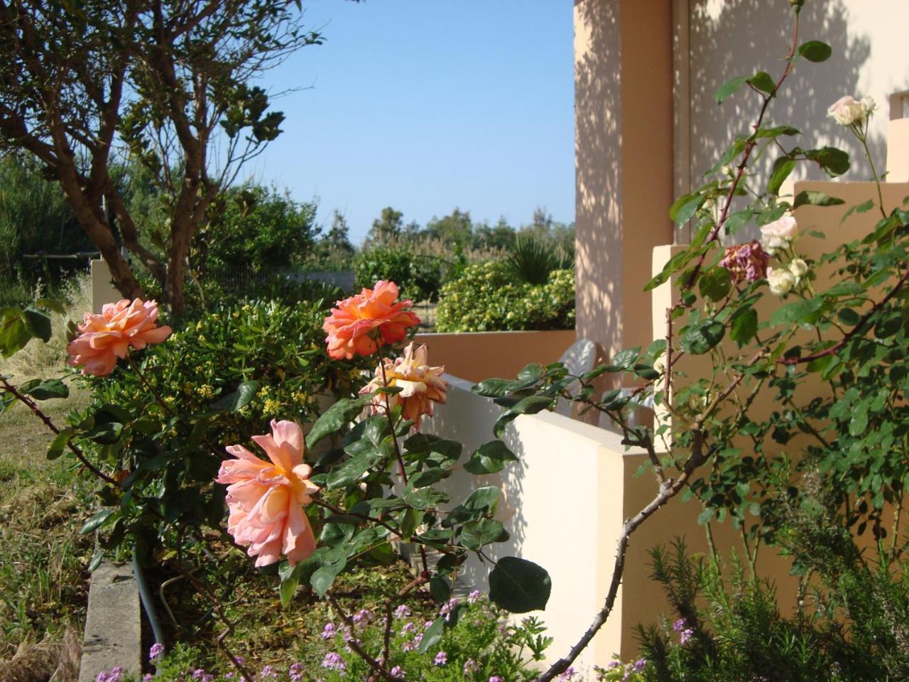 Athina Hotel Rethymno  Exterior photo