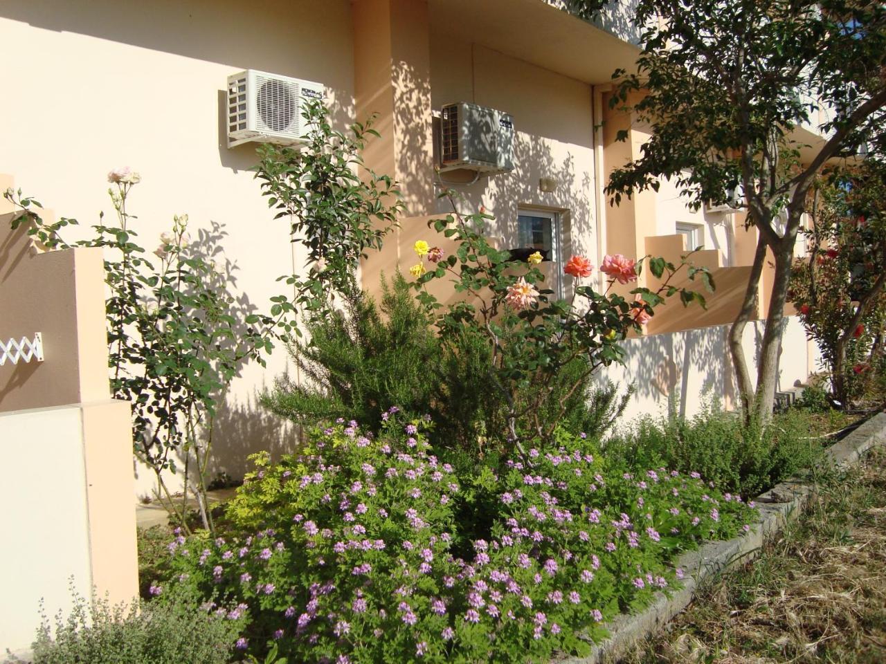 Athina Hotel Rethymno  Exterior photo